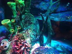 -沈阳海洋探索中心