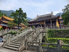 -天目山大树王景区