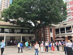 -中环半山扶手电梯