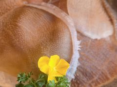 -左庭右院鲜牛肉火锅(苏州园区永旺店)