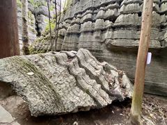 -梭布垭石林景区