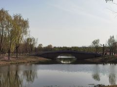 -东郊湿地公园