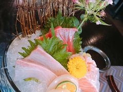 -羽山料理