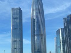 -深圳湾木棉花酒店