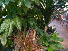 -大树餐厅(红旗街万达店)