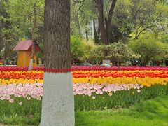 -西宁市人民公园(城西区)