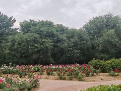 -廊坊市自然公园