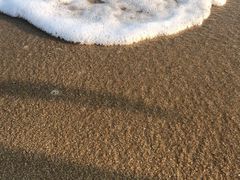 -玫瑰海岸文化旅游度假区