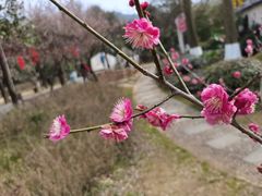 -白马涧龙池景区