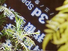 -第三空间·趣味桌游·轰趴.室内CS.剧本杀(大武汉1911店)