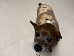 -贝康宠物医院·犬猫全科·小动物特色诊疗中心(东环路店)