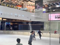 -TheRink大零溜冰场(IFS国金中心店)
