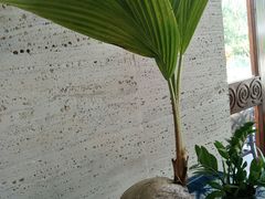 -亚龙湾老厨房·海南家常味