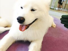 -怪兽屋·羊驼·猫咖·狗咖(俊华广场店)