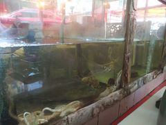 -碧露轩·大益茶体验馆(镇江路店)