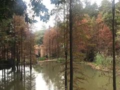 -云溪植物园