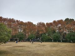 -南通博物苑-崇川人民公园