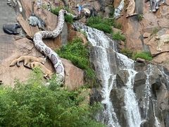 -西霞口神雕山野生动物世界