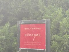 -西海子公园