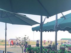 -七的湖·晚芳亭·阳澄湖农家菜·大闸蟹(莲花岛店)