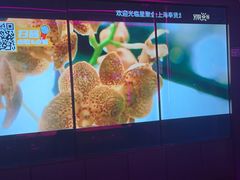 -星聚会KTV(龙湖上海奉贤天街店)