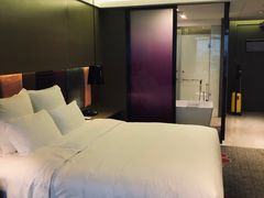 -南京禄口机场雅高铂尔曼大酒店