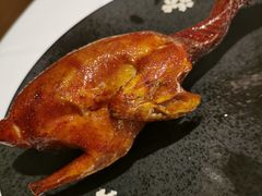 -悦景酒家(罗湖店)