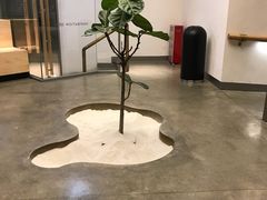 -喜茶(东莞汇一城店)