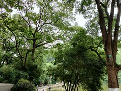 -忠山公园