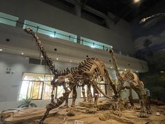 -自贡恐龙博物馆