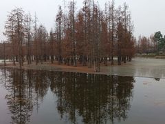 -白鹭湾湿地公园