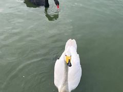-无锡动物园·太湖欢乐园