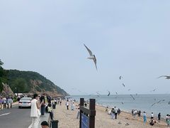 -棒棰岛宾馆景区