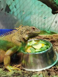 -Zoolung Zoolung动物主题公园(海信广场店)