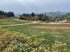 -中国香山·寿香谷