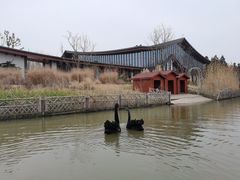 -东平国家森林公园