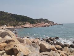 -广东惠东海龟国家级自然保护区