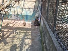 -宁波野生动物园