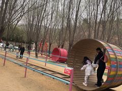 -西部长青自然儿童乐园