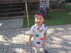 -乌布德传统市场