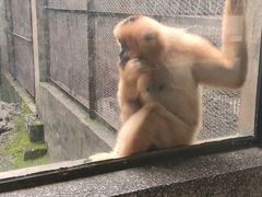 -昆明动物园