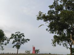 -同里国家湿地公园