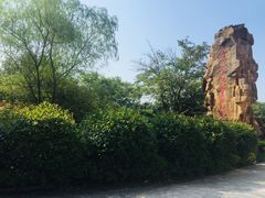 -九龙江国家森林公园