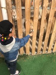 -萌宠亲子动物乐园(槐房万达店)