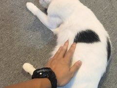 -CLUE演绎实景剧本杀(江南西店)