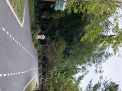 -东平国家森林公园