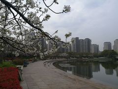 -新江湾城公园