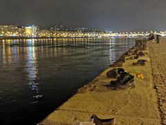 -多瑙河畔鞋履雕塑