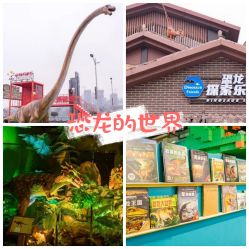 点击看大图 -恐龙探索乐园(磁器口店)