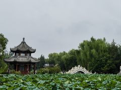 -莲池书院博物馆